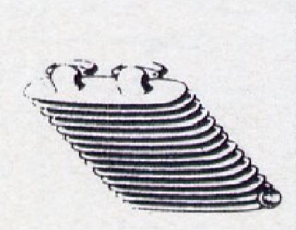 culata.jpg